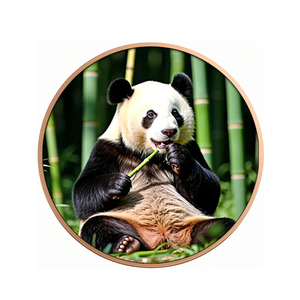 Moneta Commemorativa Personalizzata in Rame Puro .999 con Logo in Rilievo e Stampa UV, Regalo Metallico di Lusso - Product Image 2