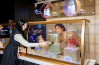 Écran tactile transparent LCD de 30 pouces, affichage numérique, résolution 1366x768, 120 Hz, fonction SDK pour les magasins de détail, utilisation en extérieur