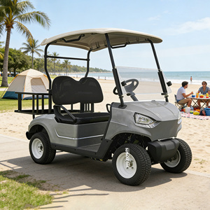 Carrito de Golf Eléctrico de Alto Rendimiento, 2 Plazas, Motor de 60V 5KW, Alta Velocidad, Durable, para Campos de Golf y Uso Comercial - Product Image 1