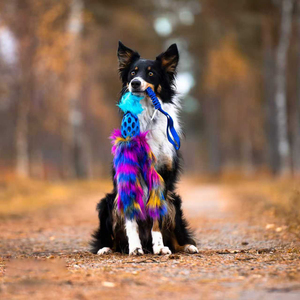 Özel Bungee gerçek hayvan kürk tavşan kürk köpek peluş oyuncak açık interaktif çekme römorkör yüksek kalite peluş Pet köpek çiğneme oyuncakları - Product Image 2