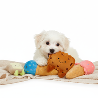 Ensemble de jouets en peluche pour chien en forme de tranches de pain, de crème glacée et de biscuits au chocolat - Jouets interactifs pour petits chiens