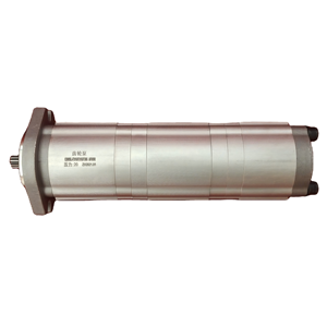 Pompe à engrenages triple série HuamaoCBWSL. Modèle : CBWSL-E316/E316/E306. Pompe hydraulique polyvalente - Product Image 6