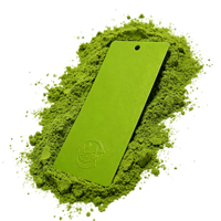 Peinture en poudre polyester thermodurcissable vert vif mat, écologique, résistante aux intempéries, pour pulvérisation sur bateaux et meubles