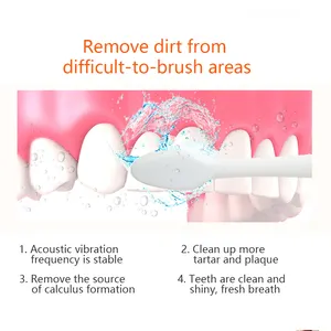ที่ดีที่สุดใหม่ผู้ใหญ่โซนิคแปรงสีฟันไฟฟ้าแบบพกพาทำความสะอาดและไวท์เทนนิ่งดูแลสุขภาพที่กำหนดเอง OEM
