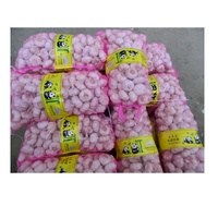 Ail frais de nouvelle récolte de haute qualité, prix abordable, ail blanc pur de Chine, ail blanc premium pour la vente en gros