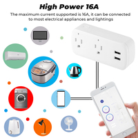SMATRUL kablosuz uzaktan ses adaptörü şarj portu zamanlayıcı Google ev Alexa 16A abd Plug Tuya Wifi akıllı Usb soket