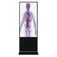 Sistema de anatomía humana digital de aprendizaje de enseñanza de la Universidad Médica Mesa de anatomía virtual 3D