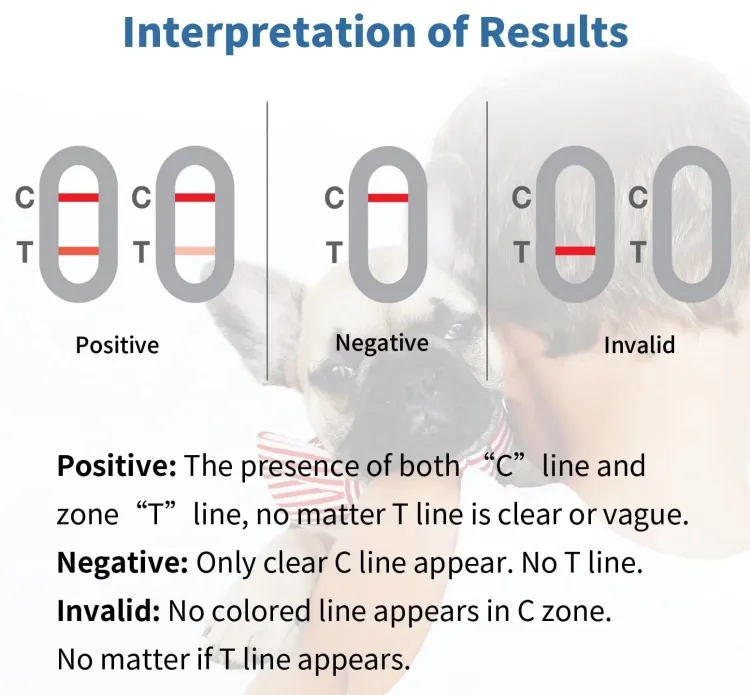 عدة اختبار تشي واتش واتش وباسيمك للكلاب Babesia Gibsoni Ab Rapid Detection Chw/Ehr/Bab/