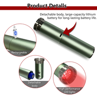 Lampe de thérapie par lumière rouge rechargeable 660nm 850nm, appareil à lumière infrarouge portable, thérapie de soulagement de la douleur, lumière LED
