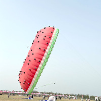 2025 nouveau cerf-volant Dragon 3D au sol mou personnalisé est utilisé pour les compétitions et les expositions en plein air pilotées depuis l'usine chinoise