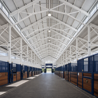 Grande écurie en acier préfabriquée pour chevaux et abri pour animaux d'élevage – Bâtiment métallique durable pour l'agriculture