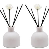 Bouteille diffuseur de parfum en verre blanc mat vide 100 ml avec bouchon en liège, accessoires de parfum, remplacement DIY