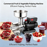 Séparateur automatique de pulpe en acier inoxydable 304 de qualité alimentaire pour la fabrication de confitures et de sauces, idéal pour les commerces de boissons