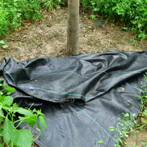 <span class=keywords><strong>New</strong></span>-<span class=keywords><strong>Type</strong></span> <span class=keywords><strong>Weed</strong></span> kiểm soát vải polyethylene PE nhựa mulch phim 70 gam/m² <span class=keywords><strong>Weed</strong></span> phòng chống vải với <span class=keywords><strong>Weed</strong></span> chức năng kiểm soát - Product Image 3