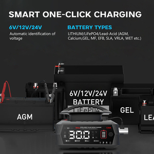 <span class=keywords><strong>Cargador</strong></span> Inteligente de Baterías para Auto y Moto de 30A, 6V/12V/24V, para Baterías de Litio LiFePO4 y Plomo-Ácido <span class=keywords><strong>AGM</strong></span> - Product Image 5