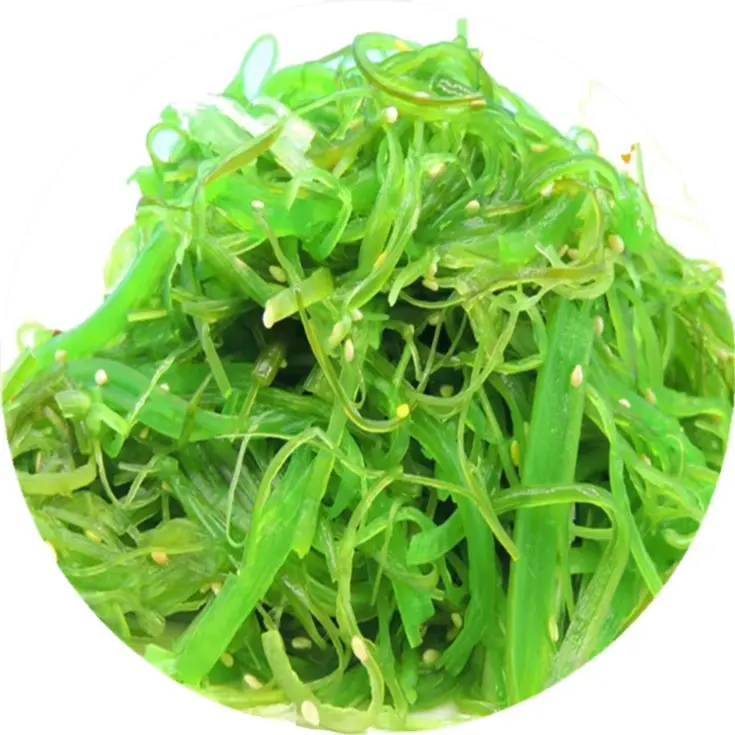 Salada de algas marinhas congeladas de baixo preço