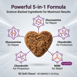 Friandises à mâcher <span class=keywords><strong>pour</strong></span> <span class=keywords><strong>chiens</strong></span> <span class=keywords><strong>pour</strong></span> la santé des hanches et des articulations - Suppléments premium de glucosamine, chondroïtine et moules à lèvres vertes à absorption rapide - Product Image 3