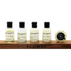 Mini Savon et Shampoing Hôtelier Jetables en Gros <span class=keywords><strong>Pas</strong></span> Chers pour Salles de Bain d'Hôtel Articles de Toilette Shampoing et Après-Shampoing - Product Image 1