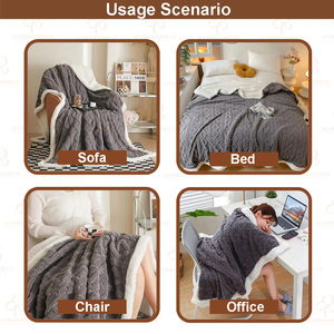 Nhà Máy Bán Buôn Siêu Mềm Ấm Cúng Ấm Áp Hai Lớp Lông Cừu Chăn Tùy Chỉnh Jacquard Logo Flannel Sherpa Ném Chăn Cho Mùa Đông - Product Image 4