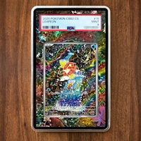 Étui magnétique en acrylique pour cartes PSA gradées, support de présentation pour collection TCG (sans carte)