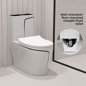 WC à siphon horizontal pour le Moyen-Orient et l'Afrique, WC monobloc en céramique colorée, à poser au sol ou suspendu, à double chasse - Product Image 1
