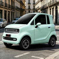 Voiture électrique à faible vitesse pour trajets quotidiens sur de courtes distances, usage familial, homologuée CEE, vitesse 45 km/h, autonomie 90 km, moteur AC 3000 W