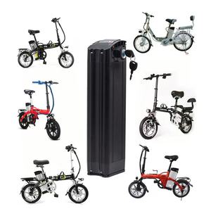 Batteria ad Alta Capacità per Ebike da Food Delivery, Batteria Silver Fish 48v 30Ah 36v 20Ah 48v 28Ah, Batteria Whitebait - Product Image 3