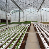 Système hydroponique à canal NFT en PVC de qualité alimentaire avec pente intégrée et support de charge lourde pour l'agriculture en serre