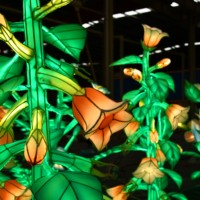 Linternas LED de Seda Chinas Impermeables con Formas de Plantas, Decoraciones para Festivales al Aire Libre, Halloween/Día de Acción de Gracias/Navidad/Año Nuevo