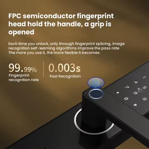 लोस्टार नए डिजाइन फिंगरप्रिंट 6085 मॉर्निज हाउस प्रवेश द्वार का दरवाजा लॉक अपार्टमेंट के लिए रिमोट कंट्रोल के साथ - Product Image 2