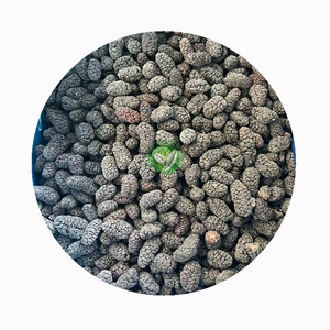 Mûres surgelées IQF XMSD pour garnitures <span class=keywords><strong>de</strong></span> pâtisserie et préparation <span class=keywords><strong>de</strong></span> fruits, avec exécution <span class=keywords><strong>de</strong></span> recettes OEM et contrôle <span class=keywords><strong>de</strong></span> conformité - Product Image 5