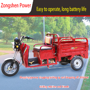 New <b>Gasoline</b> Engine Tricycle Small Household Agricultural Motorcycle - Product Image 5