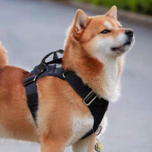 สายจูงสุนัขแบบไม่ต้องดึงสายรัดไนลอนพร้อมหัวเข็มขัดเรืองแสงสายจูงสุนัขขนาดใหญ่กลางขนาดเล็ก - Product Image 5