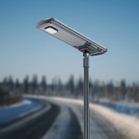 Lámpara de calle solar de aluminio todo en uno IP66 resistente al agua, certificación ROHS, nuevo diseño, uso al aire libre, fuente de luz LED para jardín y carretera