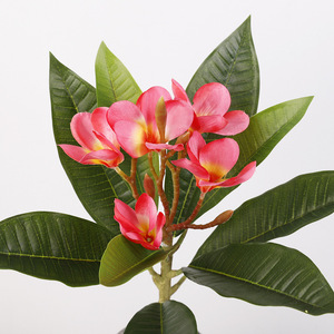 Flor Artificial de Frangipani de 9 Hojas, 59 cm, Decoración para el Hogar y Bodas, Planta de Seda y Plástico para Uso en Interiores y Exteriores - Product Image 2