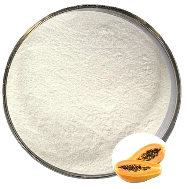卸売食品添加物パパイン酵素パパイヤエキスパパイン酵素粉末
