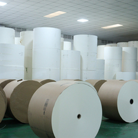 Papier couché PE en rouleaux de 150 g/m² à 350 g/m² pour gobelets à café chaud – Prix usine