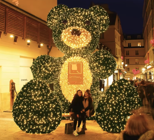 Decorazioni Natalizie da Esterno, Grande Orso 3D Illuminato a <span class=keywords><strong>LED</strong></span>, Luci Decorative IP65/IP68 per Paesaggi - Product Image 3