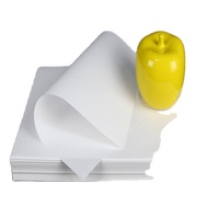 Papier Bible vierge A4 28g
