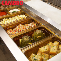 Plateau alimentaire chauffant en verre ambré résistant aux hautes températures pour Cambro GN Standard, idéal pour la restauration, les hôtels et les restaurants