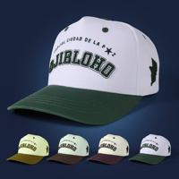 Casquette de baseball OEM 100 % coton personnalisée avec logo brodé en 3D, style sportif, 5 panneaux, visière incurvée, bicolore, fermeture snapback