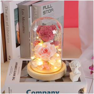 <span class=keywords><strong>Rose</strong></span> éternelle sous cloche <span class=keywords><strong>en</strong></span> verre avec ours, coffret cadeau, <span class=keywords><strong>bouquet</strong></span> de fleurs séchées, cadeau de la Saint-Valentin, fleur éternelle sous couvercle <span class=keywords><strong>en</strong></span> verre - Product Image 1