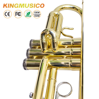 Bb Trumpet Brass Body with Gold Lacquer Finish | Stainless Steel Valves, 120mm Bell | Student & Band Trumpet OEM Factory Supply