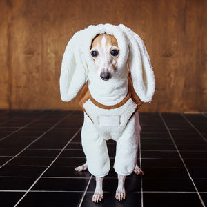 Warme Onesie Huisdier Huiskleding En Hond Winter Pyjama Voor Koude Nachten In Hond Kerstkleding - Product Image 6