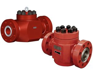 API 6A Stainless Steel Swing Lift Check Valve (Non-Return Valve) DDCV Double Lobe for Oil & Gas Transportation - Product Image 3