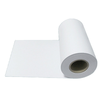 Rouleau de papier spécial biodégradable de qualité industrielle, taille personnalisée, papier écologique pour applications d'emballage