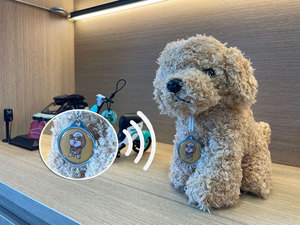 Nhà Máy Giá <span class=keywords><strong>RFID</strong></span> NFC ntag213 215 216 Epoxy <span class=keywords><strong>tag</strong></span> QR mã Pet Dog <span class=keywords><strong>ID</strong></span> <span class=keywords><strong>Keychain</strong></span> <span class=keywords><strong>tag</strong></span> - Product Image 5