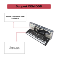 Piano Electrónico Portátil BD-612 de 61 Teclas, Nivel Inicial, Instrumento Musical, Piano de Juguete, Personalizable de Fábrica, OEM/ODM Disponible