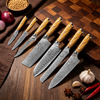 Couteaux de cuisine professionnels OEM ODM, couteau à manche en bois Pakka, ensemble de 5 pièces, lame extra-affûtée, couteau de chef en acier Damas