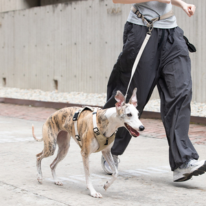 Ergonomic Pressure Relief Sport Dog <b>Harness</b> No Choke <b>Pet</b> <b>Harness</b> And Adjustable Reflective Vest For Outdoor Training - Product Image 2